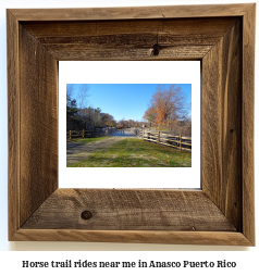 horse trail rides near me in Aasco, Puerto Rico